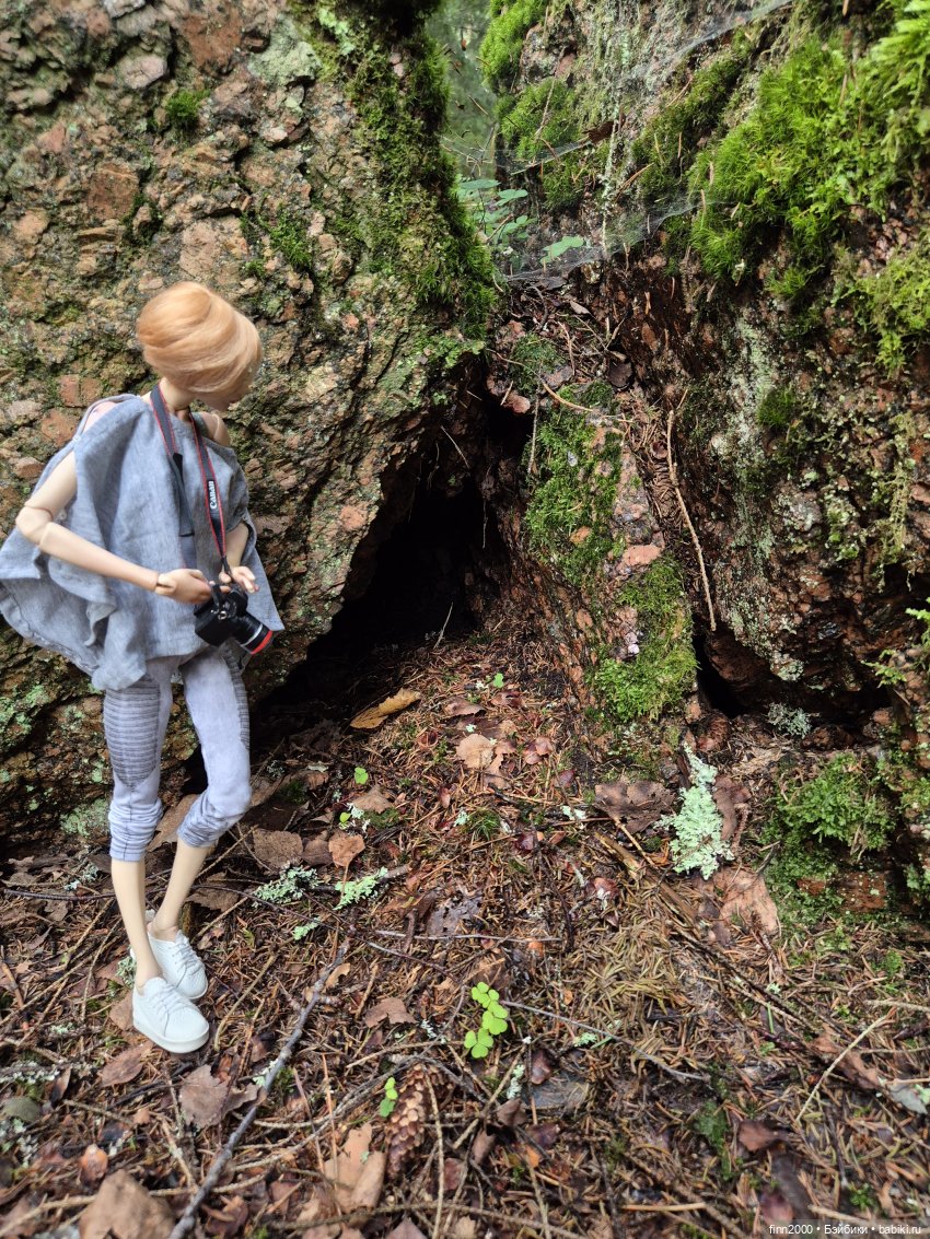 Немножко об охоте — Авторские куклы BJD (БЖД) у нас дома: фото