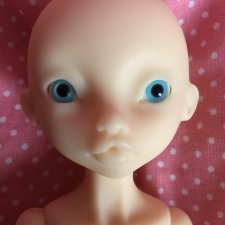 Продам Rhubarb (normal)