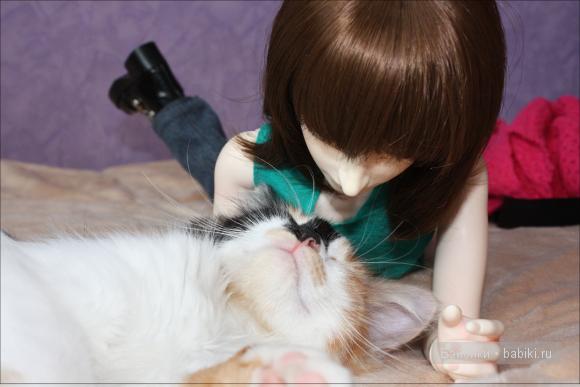 Изучаем кошку