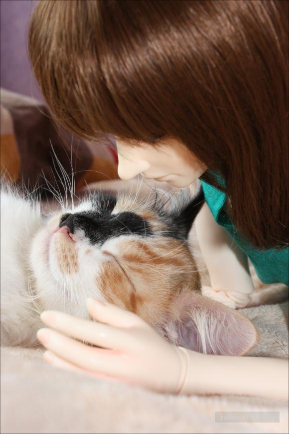 Изучаем кошку