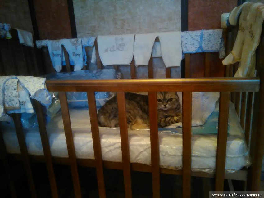 Как и положено,вначале кошка ,а потом хозяин.