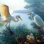 Откуда берутся дети?