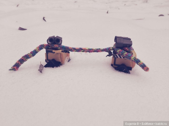 Один осенний снежный день (фото 5)