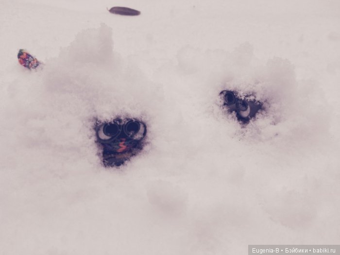 Один осенний снежный день (фото 4)