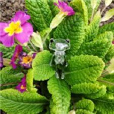 Найди меня, если сможешь