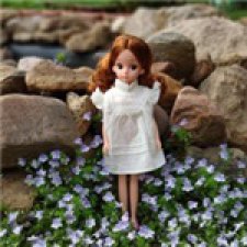 Прогулки с Ликкой