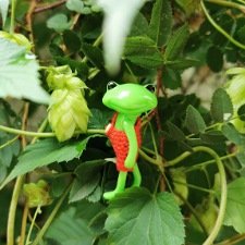 Лягушата как ребята