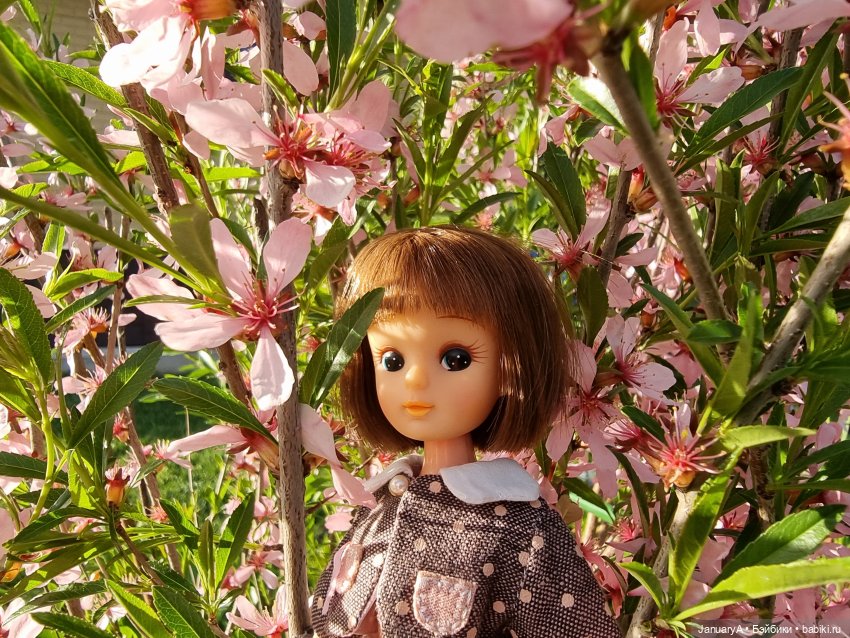 Снова май и снова Ликка — Азиатские виниловые куклы (разное): Китай (фото 4)