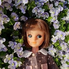 Снова май и снова Ликка