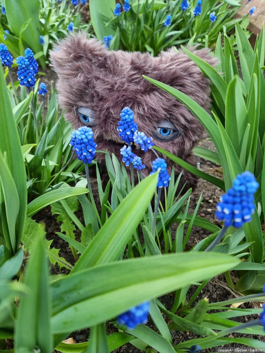 Всё стало вокруг голубым и зелёным (фото 4)