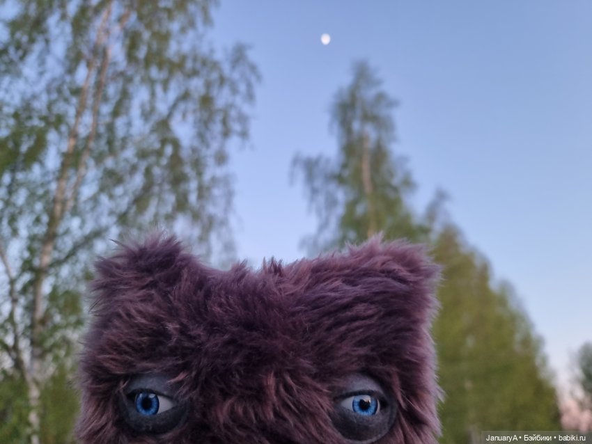 Всё стало вокруг голубым и зелёным (фото 10)