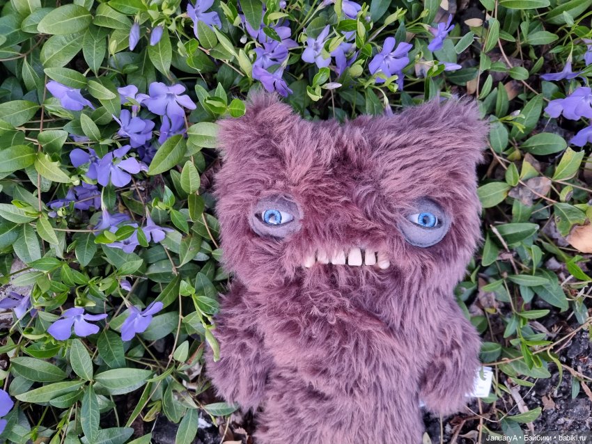 Всё стало вокруг голубым и зелёным (фото 7)