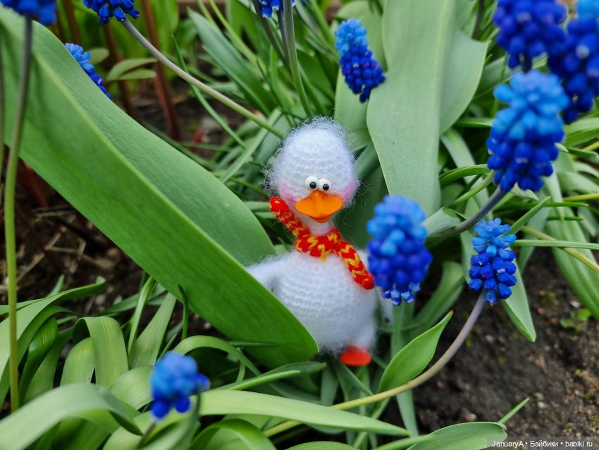 Из жизни птиц — Домашние фото авторских игрушек: Тедди (фото 8)