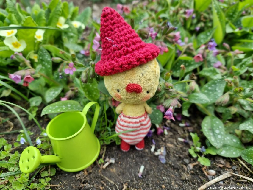 Из жизни птиц — Домашние фото авторских игрушек: Тедди