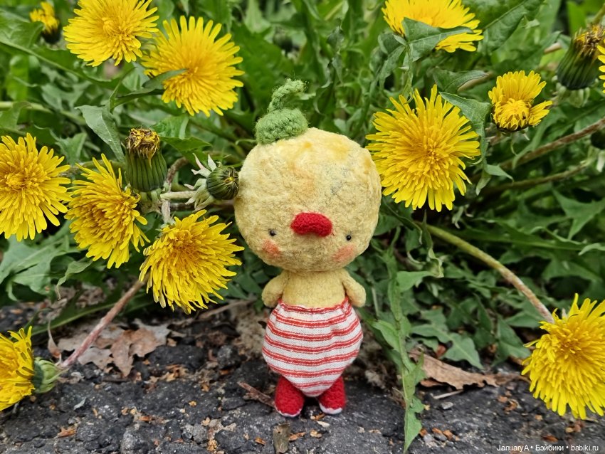 Из жизни птиц — Домашние фото авторских игрушек: Тедди