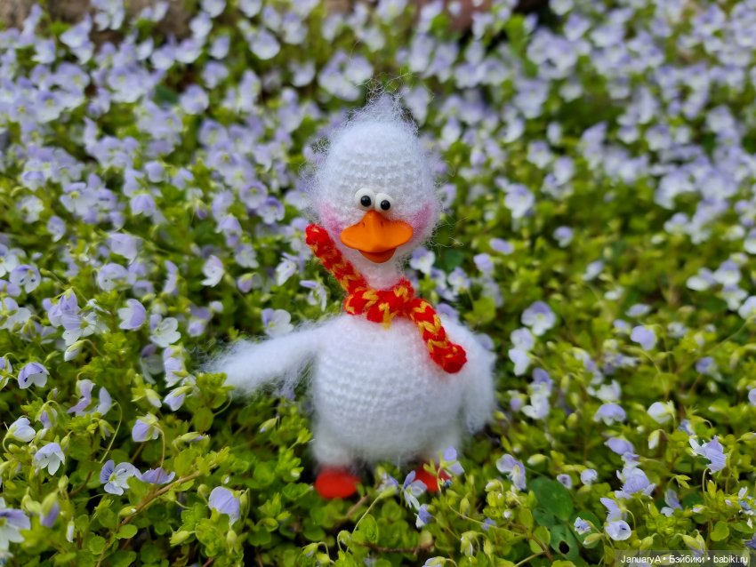 Из жизни птиц — Домашние фото авторских игрушек: Тедди (фото 6)