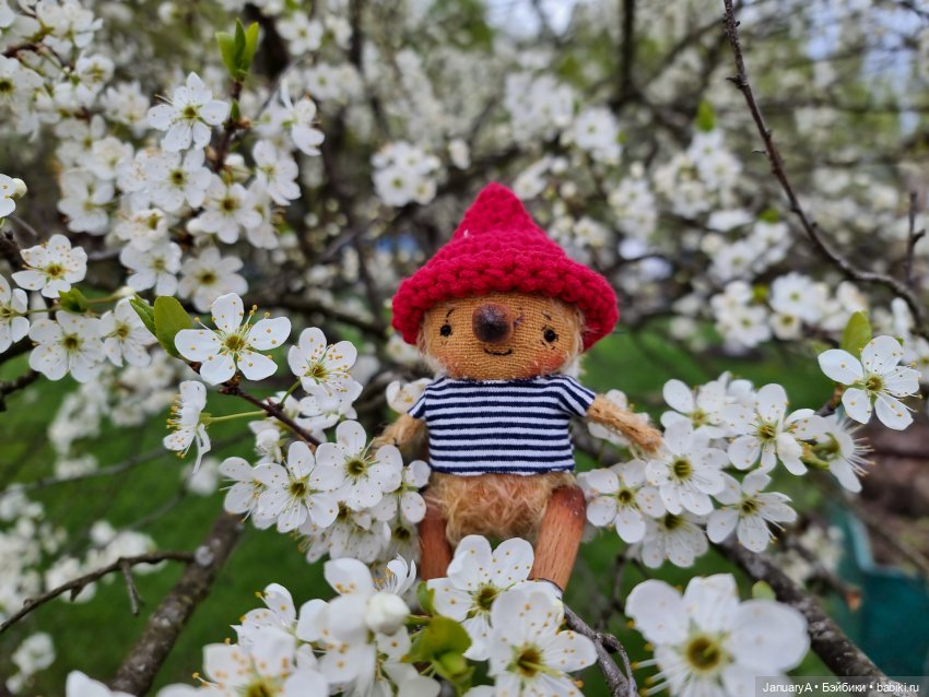 Из жизни птиц — Домашние фото авторских игрушек: Тедди (фото 4)