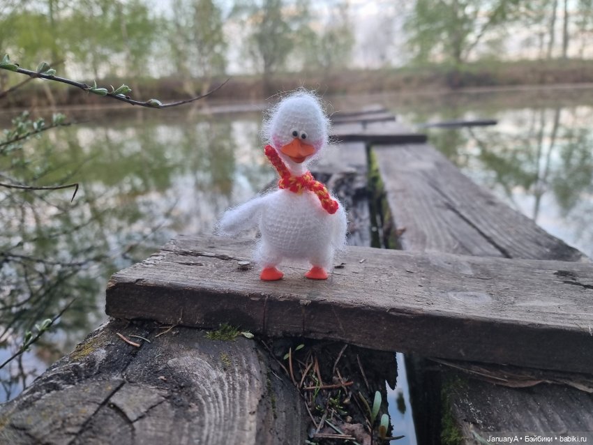 Из жизни птиц — Домашние фото авторских игрушек: Тедди (фото 7)