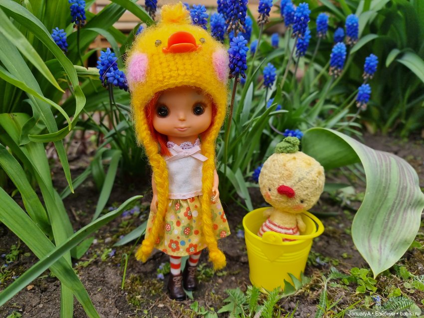 Из жизни птиц — Домашние фото авторских игрушек: Тедди