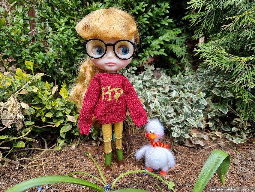 Из жизни птиц — Домашние фото авторских игрушек: Тедди (фото 9)