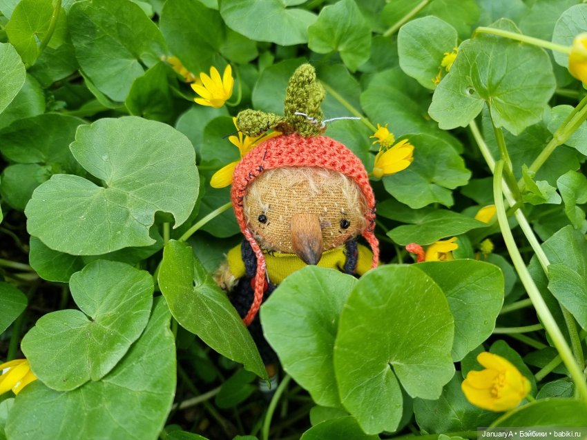 Из жизни птиц — Домашние фото авторских игрушек: Тедди (фото 2)