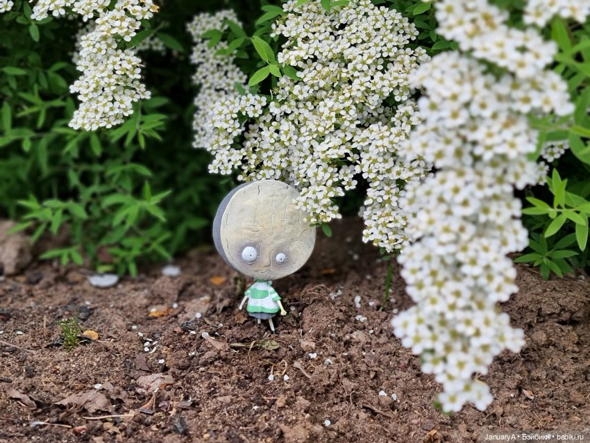 Про сырного мальчика | Бэйбики Про сырного мальчика — Коллекционные фигурки (разное): животные