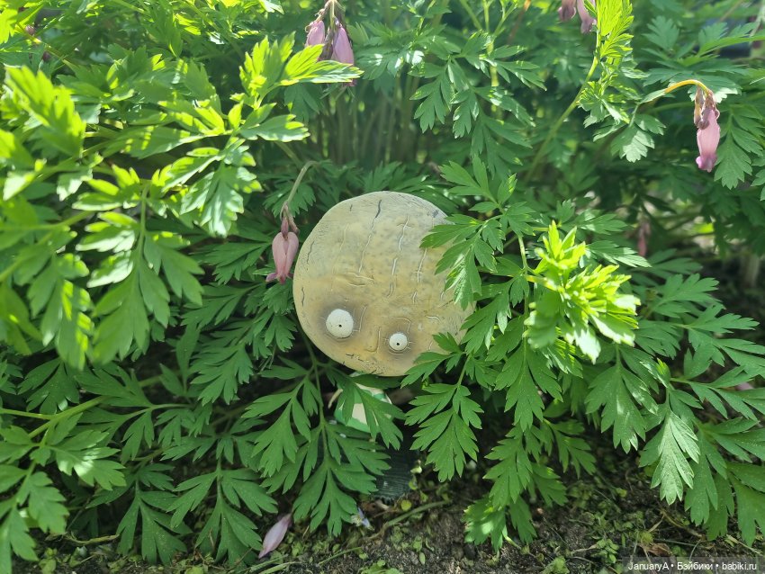 Про сырного мальчика | Бэйбики Про сырного мальчика — Коллекционные фигурки (разное): животные (фото 10)