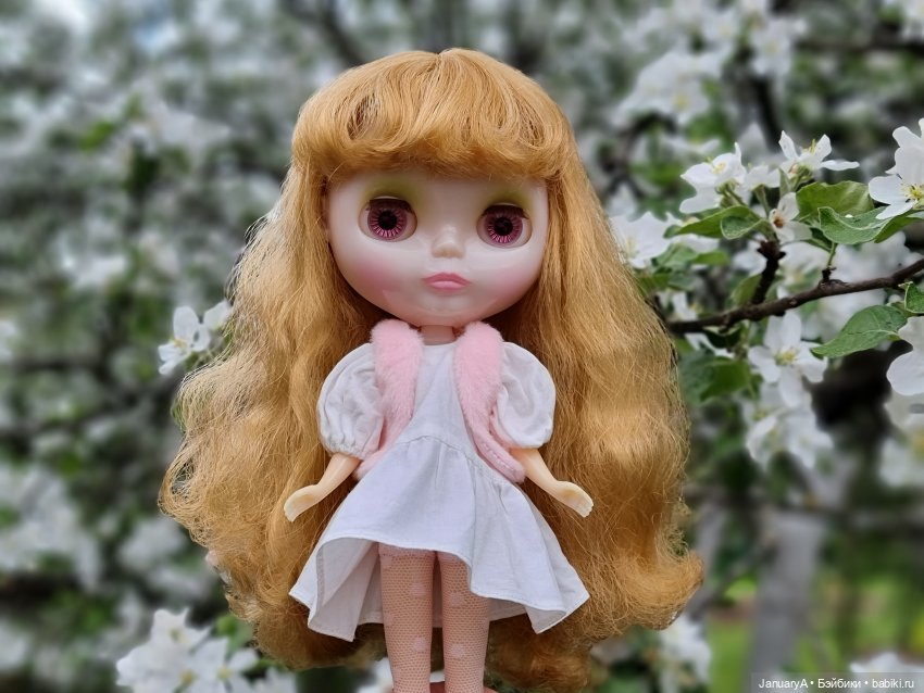 Прозрачная красота — Оригинальные куклы Blythe (Блайз): Takara (фото 6)