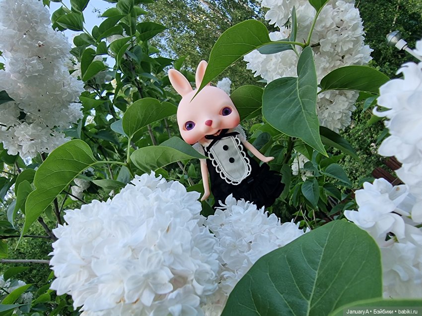 Кроличек Tokissi — Азиатские виниловые куклы (разное): Китай (фото 3)