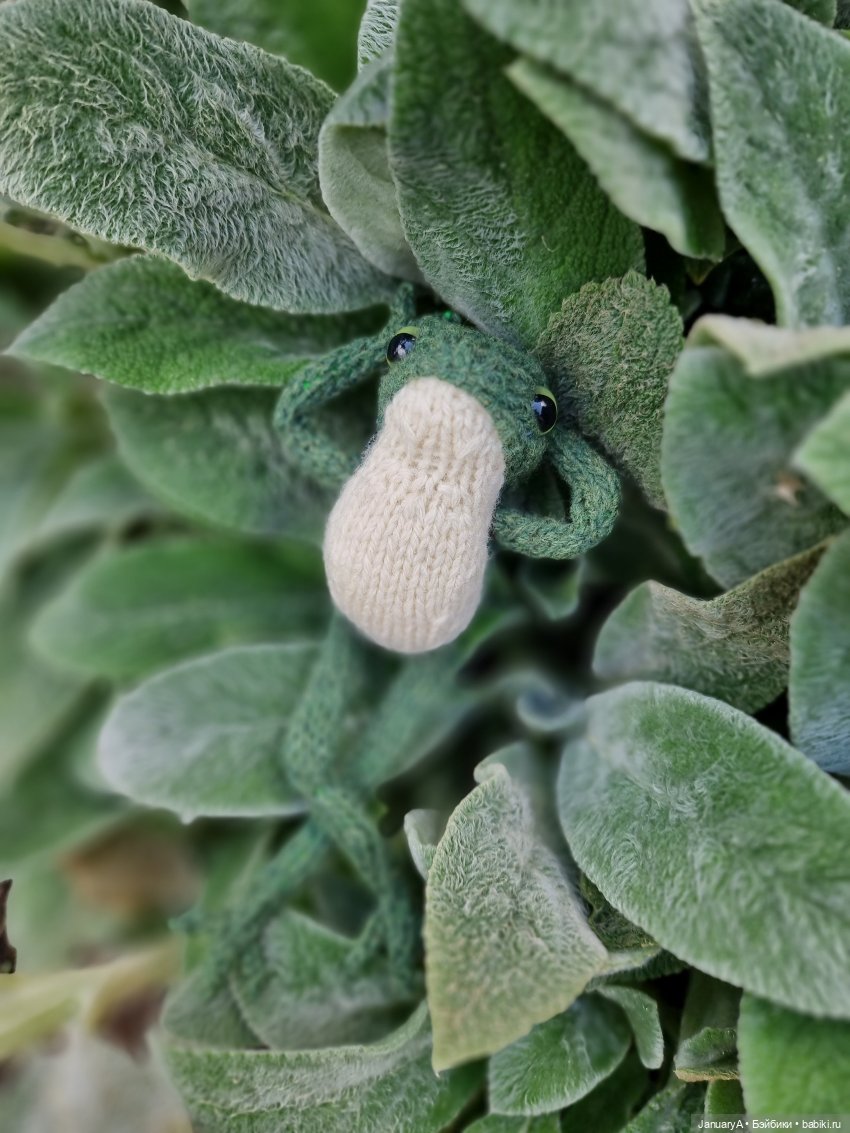 Все побежали, и я... за вязаной лягушкой (фото 2)