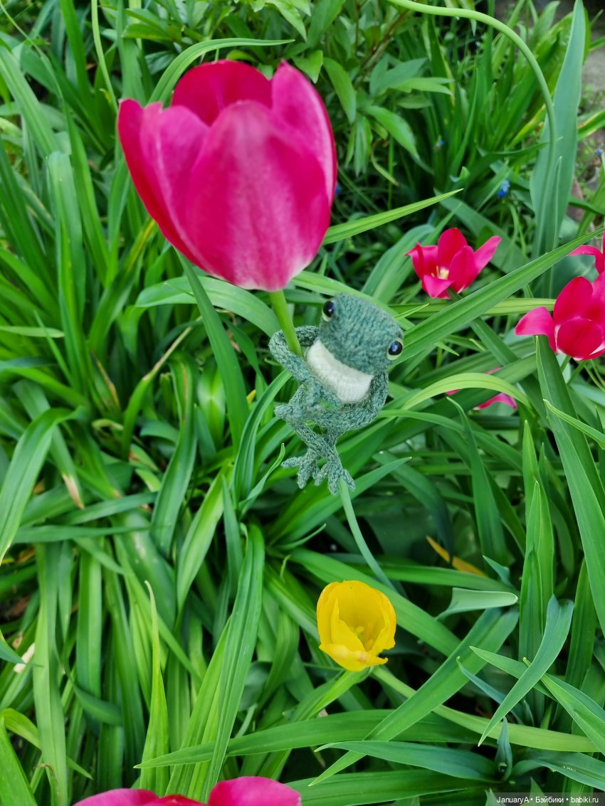 Все побежали, и я... за вязаной лягушкой (фото 4)