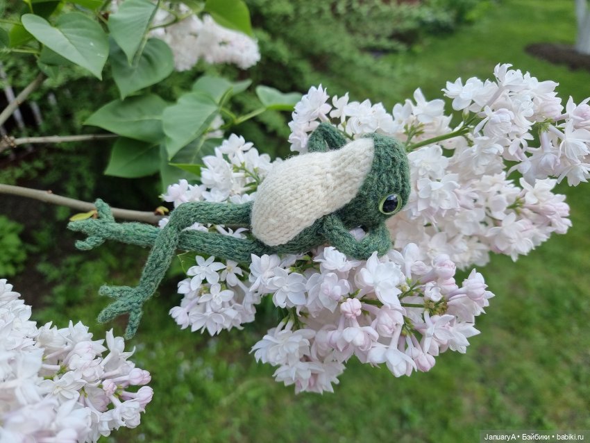 Все побежали, и я... за вязаной лягушкой (фото 7)