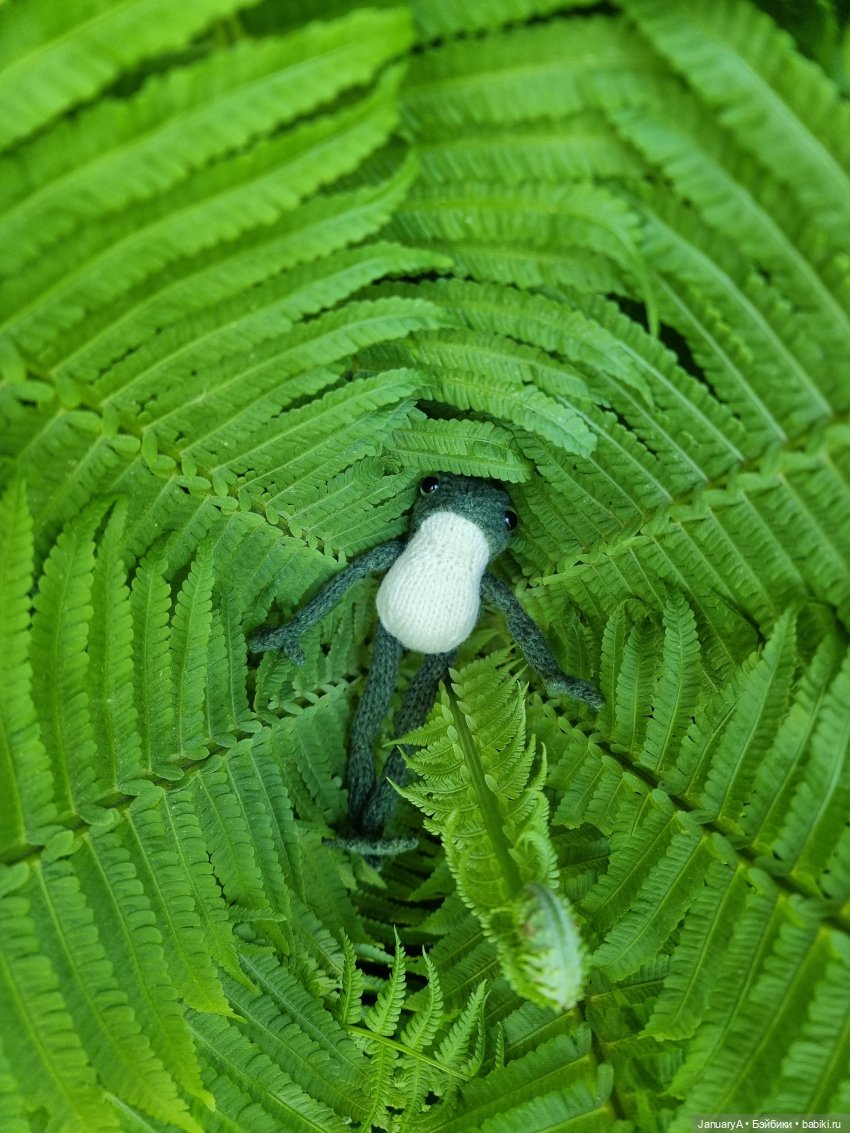 Все побежали, и я... за вязаной лягушкой (фото 8)