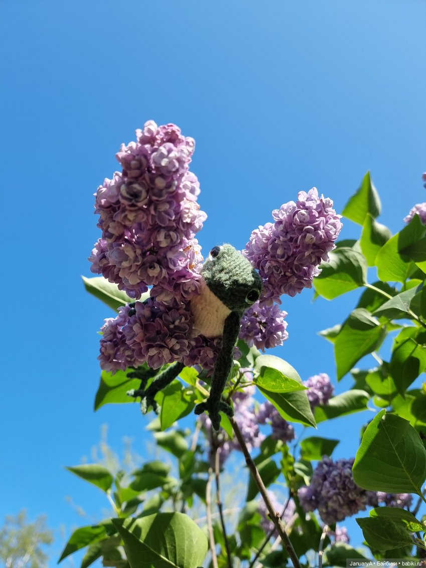 Все побежали, и я... за вязаной лягушкой (фото 10)