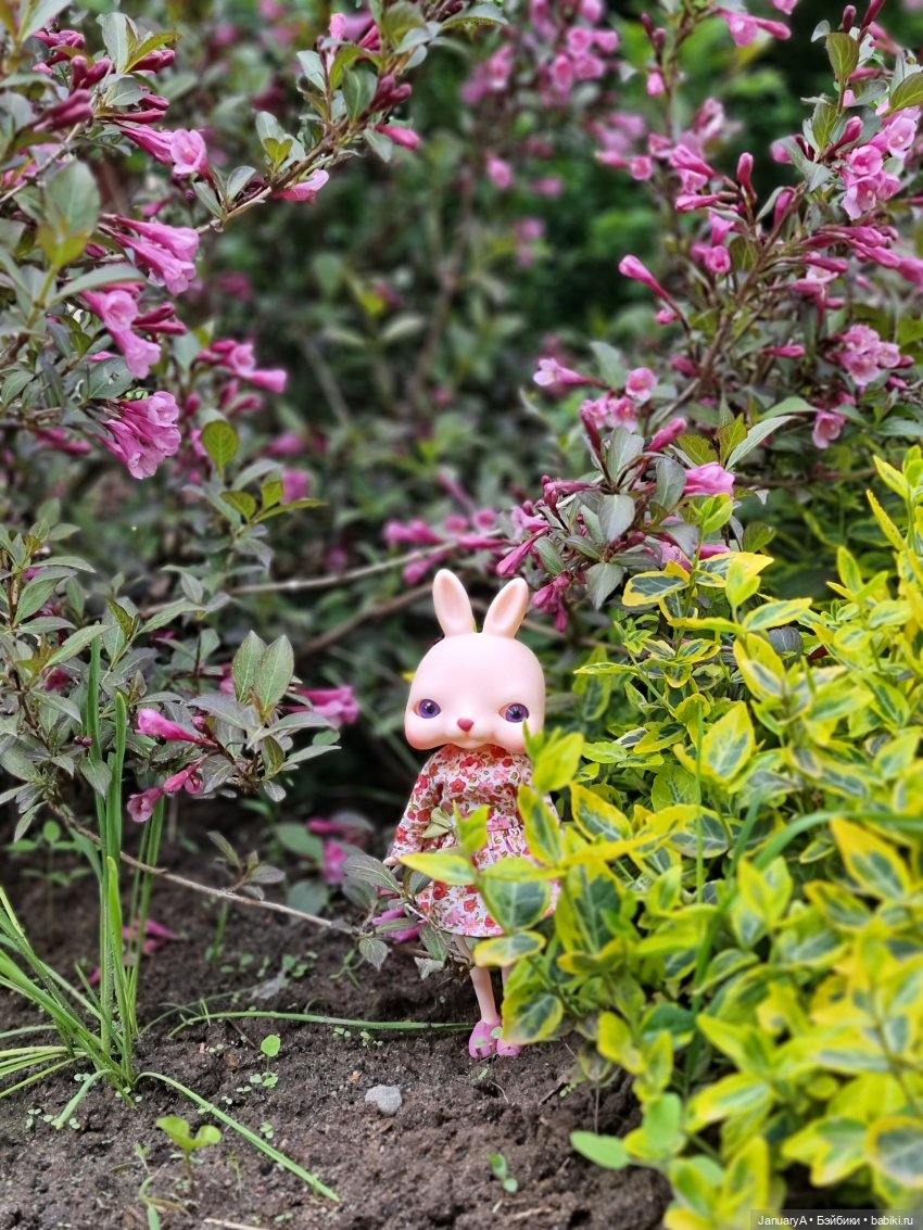 Кроличек Tokissi — Азиатские виниловые куклы (разное): Китай (фото 7)