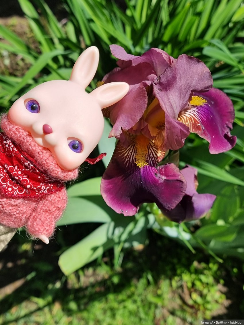 Кроличек Tokissi — Азиатские виниловые куклы (разное): Китай