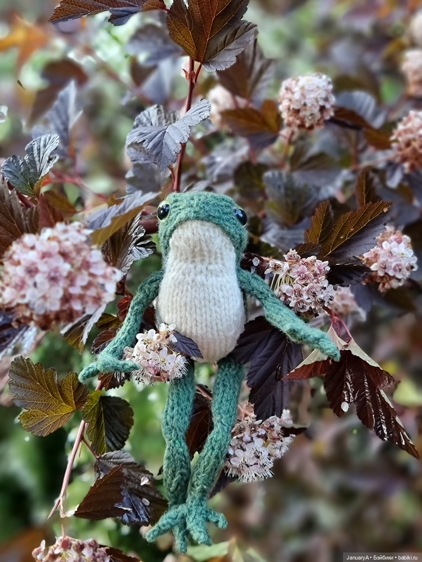 Все побежали, и я... за вязаной лягушкой