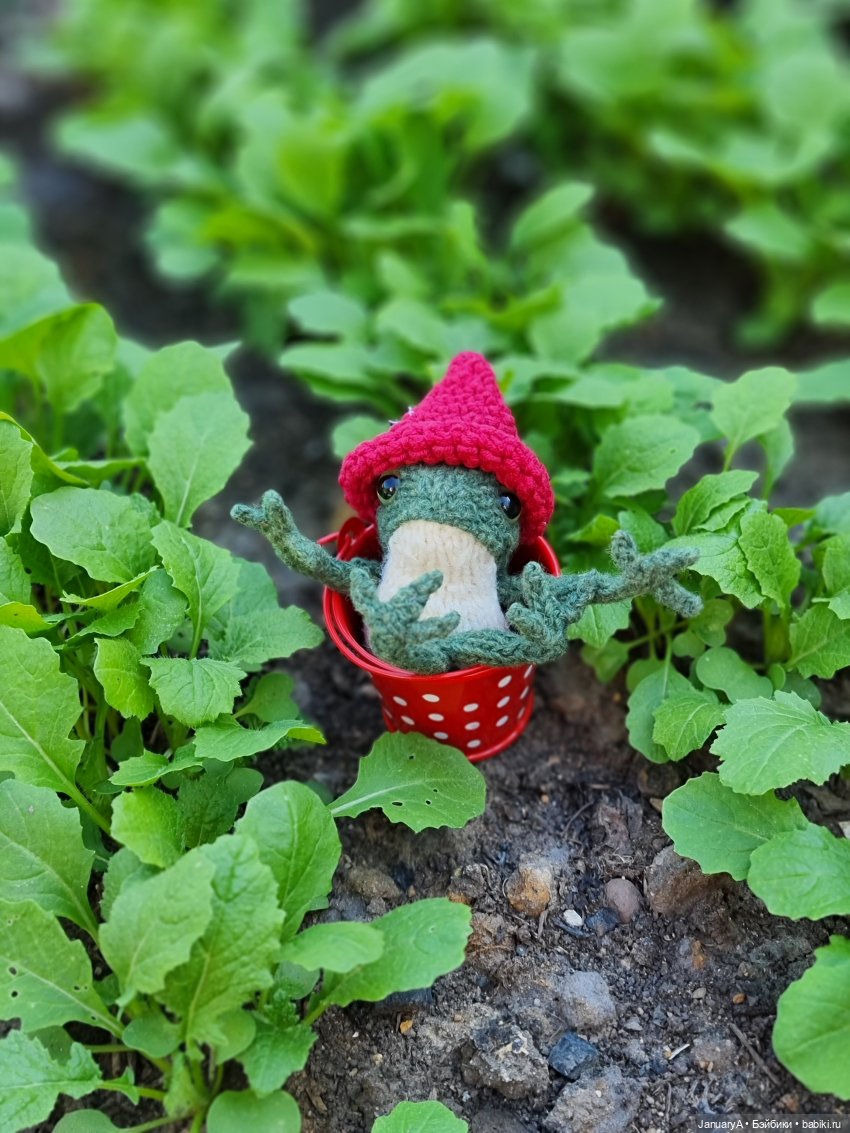 Все побежали, и я... за вязаной лягушкой (фото 6)