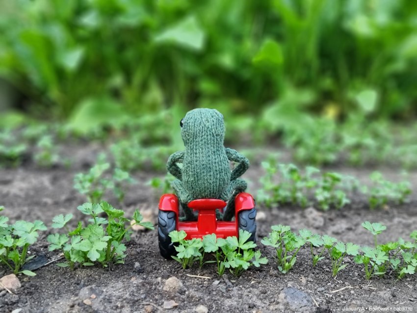 Все побежали, и я... за вязаной лягушкой