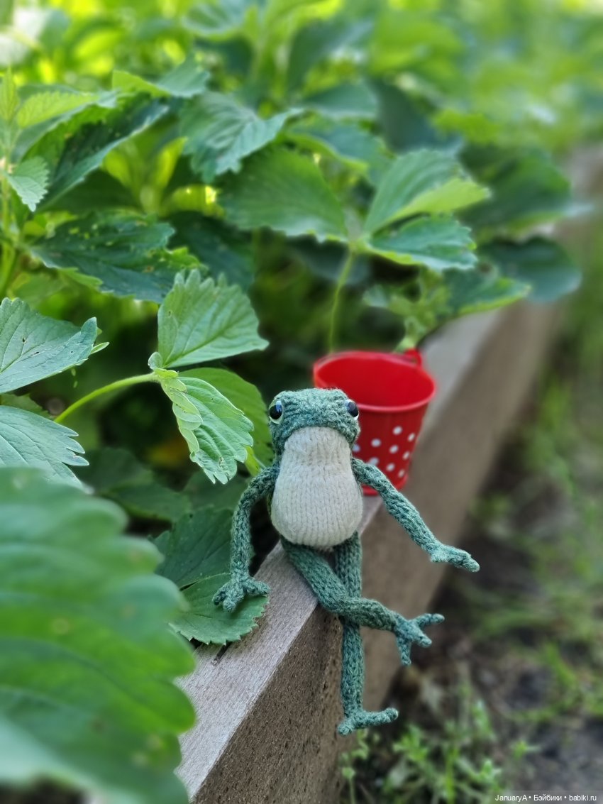 Все побежали, и я... за вязаной лягушкой