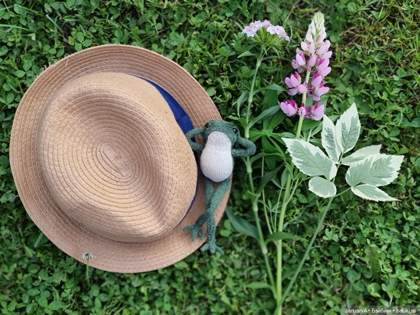 Все побежали, и я... за вязаной лягушкой