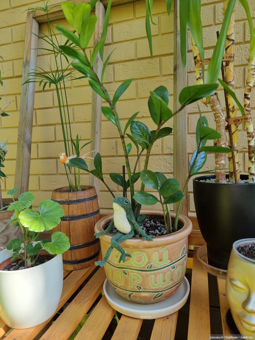 Все побежали, и я... за вязаной лягушкой