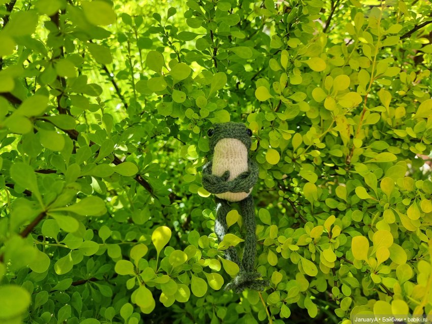 Все побежали, и я... за вязаной лягушкой