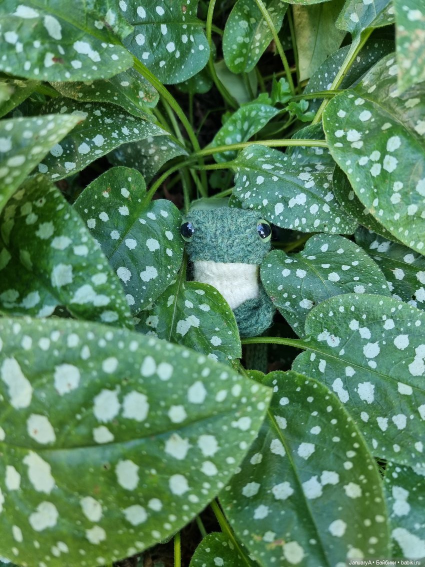 Все побежали, и я... за вязаной лягушкой