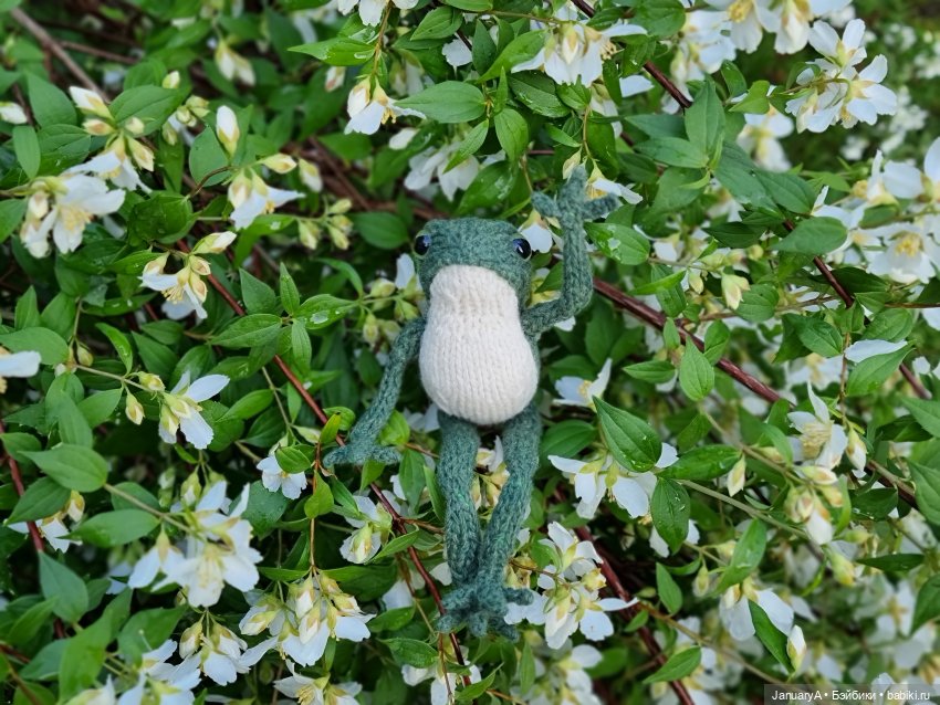 Все побежали, и я... за вязаной лягушкой