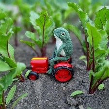 Все побежали, и я... за вязаной лягушкой!