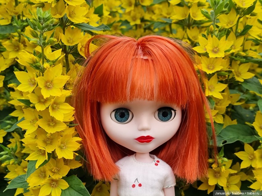 Это что за Джесси Файв — Куклы Blythe TBL (ТБЛ) и аналоги: Блюх (фото 7)