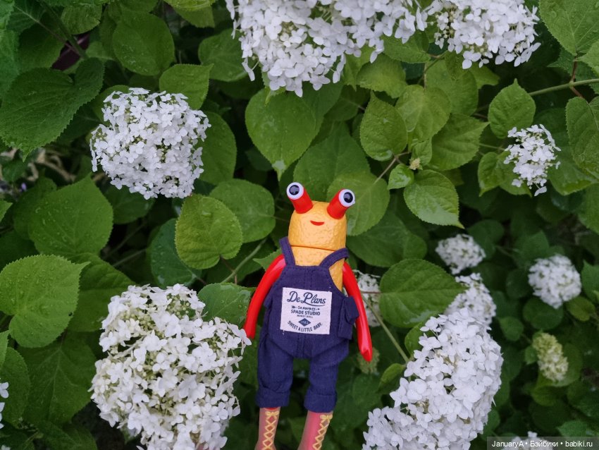 Kanicoro | Бэйбики Kanicoro — Коллекционные фигурки (разное): животные