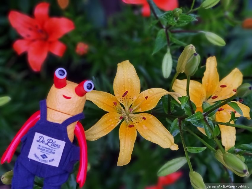 Kanicoro | Бэйбики Kanicoro — Коллекционные фигурки (разное): животные (фото 5)