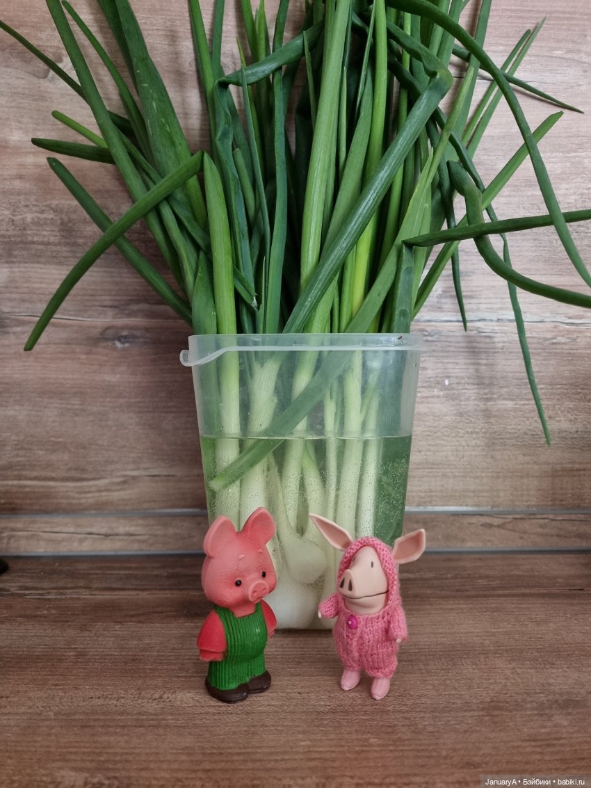 Оливье | Бэйбики Оливье — Интересные игрушки и фигурки (разное): редкие